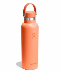 Zirkindelizabeth.shop1f60403706 2